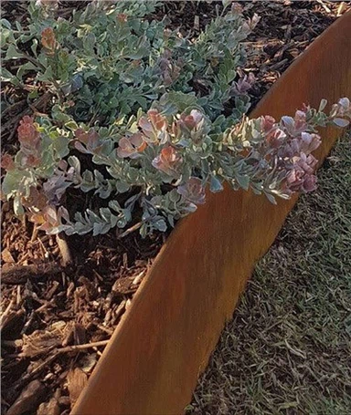 Fleksibilni Corten čelični vrtni rubovi