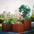 Corten Planters Extremely Durable
