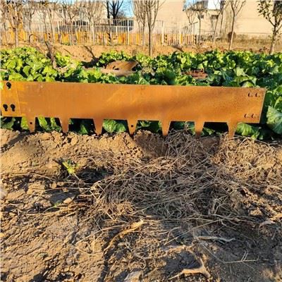 Visokokvalitetni Corten Steel Landscape Border