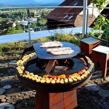 Grill sagorevani ugljen